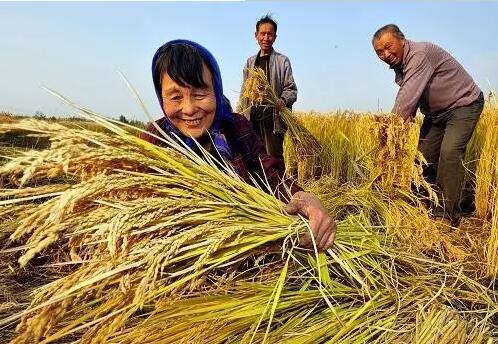 重磅！繼包產(chǎn)到戶之后，我國(guó)農(nóng)村又一次迎來(lái)重大改革