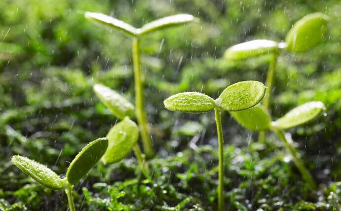 動態(tài) | 生物刺激劑多重效果大揭秘，可減少百萬噸氮肥的投入！